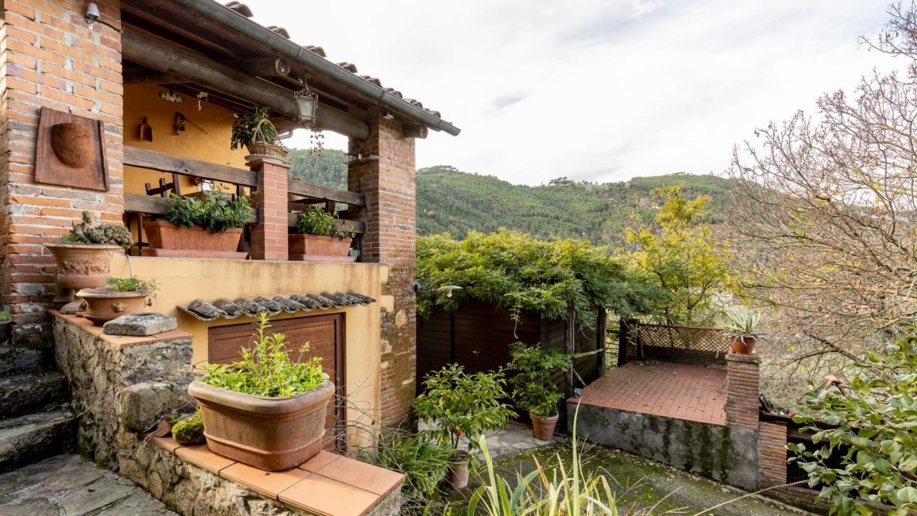 Rustic immersed in green. - Lucca